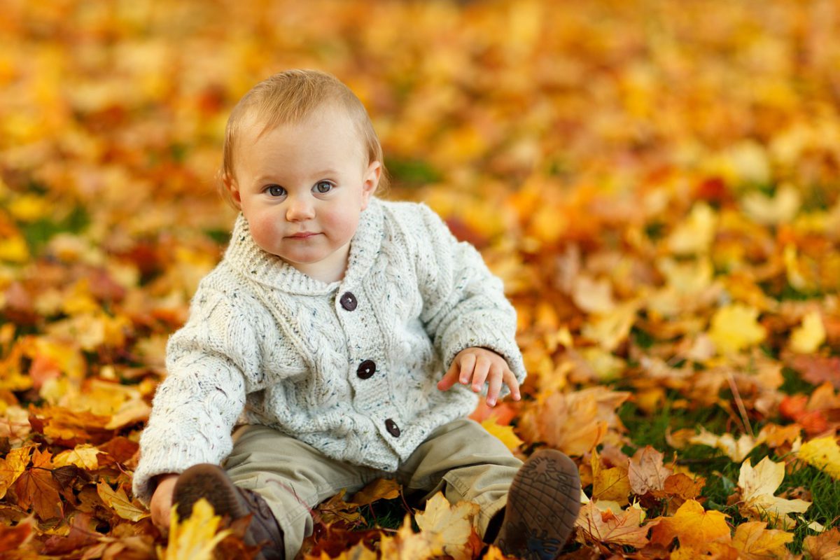 Baby, Herbst, Laub, Jacke, Wolle