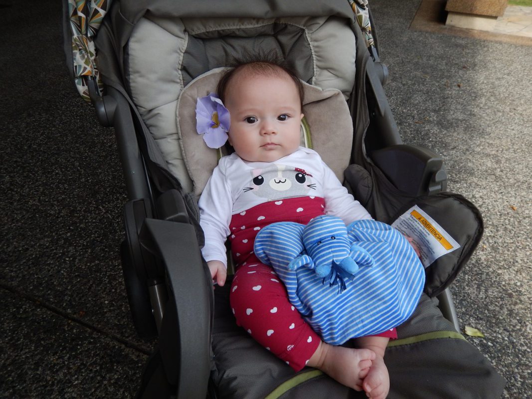 Baby, Bio, Kinderwagen, Schnuffeltuch, Schleife