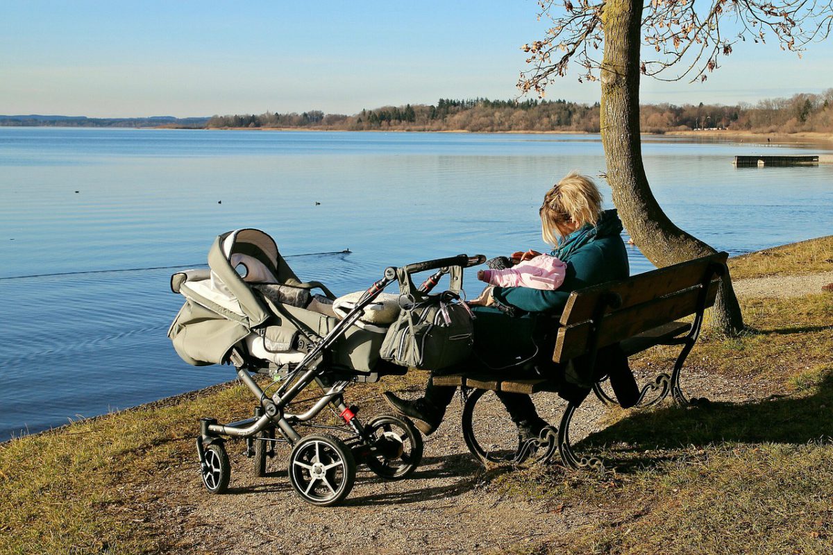Baby, Bio, Bank, Kinderwagen, Frau, See, Baum